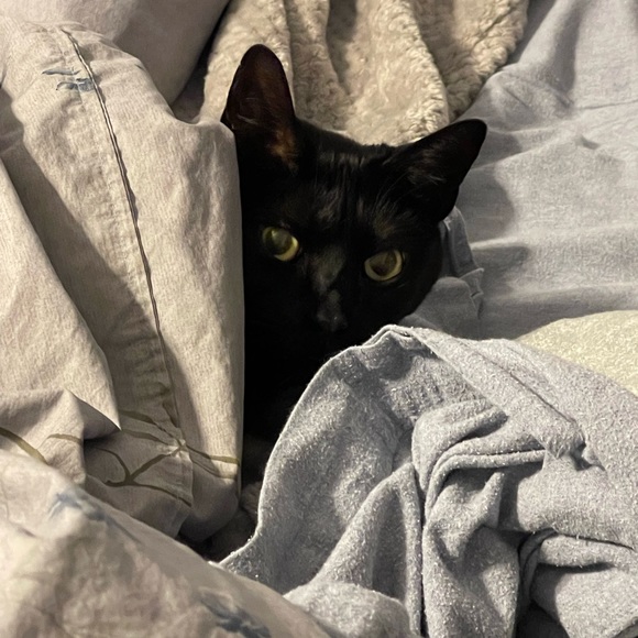 Meet your Posher, Jen - Picture 3 of 14